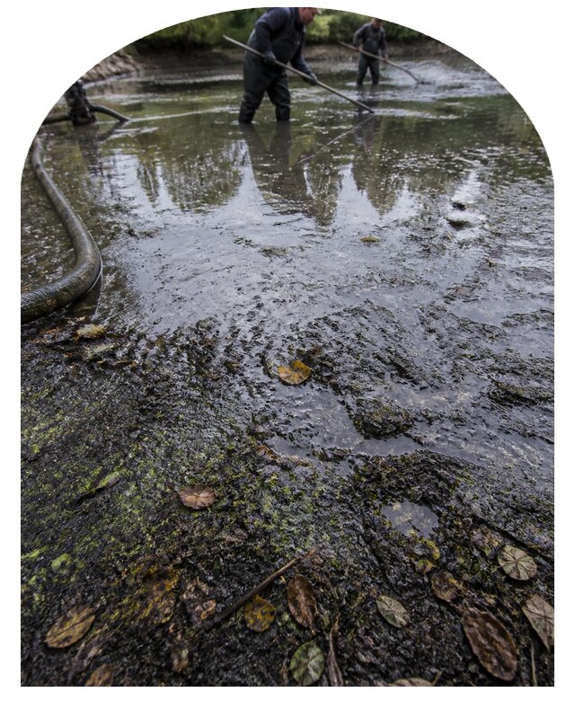 Очистка пруда в Черемхове от ила мусора и водорослей с вывозом
